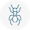 Ant Removals In Rowlands Gill
