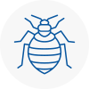 Bed Bug Extermination In Rowlands Gill