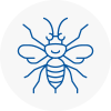 Rowlands Gill Hornet Nest Removals