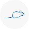 Mice Exterminators In Rowlands Gill
