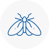 Moth Control Specialists In Rowlands Gill
