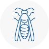 Rowlands Gill Wasp Nest Removal